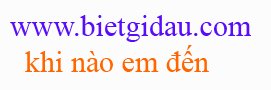 bietgidau.com